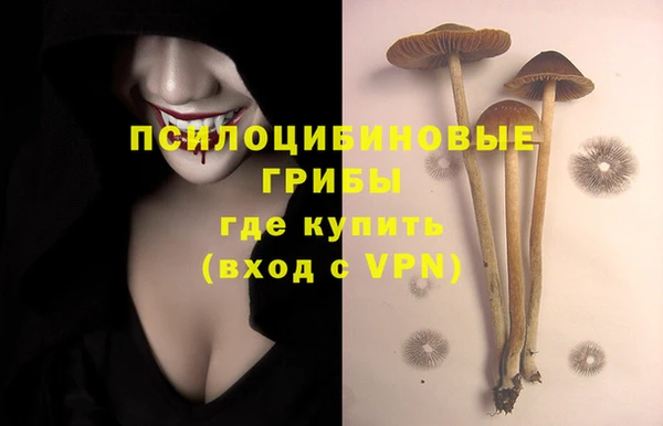 кокаин премиум Алексеевка