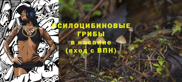 прущий лед Алексин